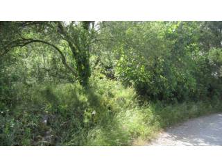 PLOT VERY NEAR THE CENTER OF BEGUR
