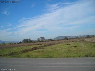 Land - Zakynthos - For Sale