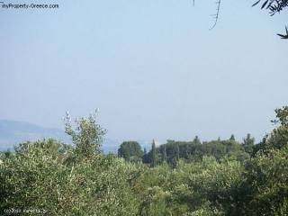 Land - Zakynthos - For Sale