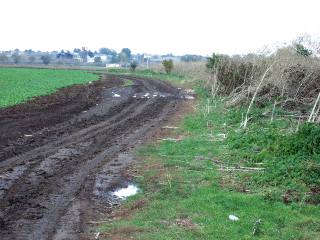 Land in Krapets, Shabla