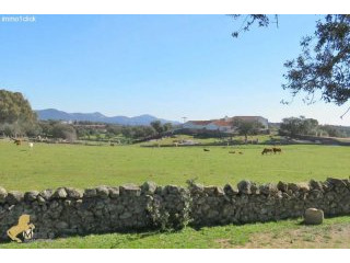 Santa Ollala del Cala: beautiful farm..