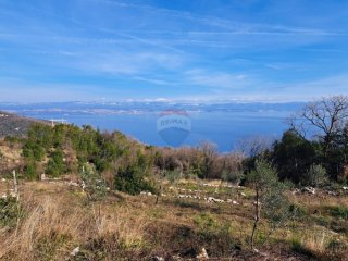 Mošćenice,poljoprivredno zemljište,maslinik