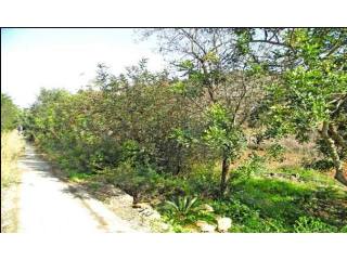 Plot For Sale Denia - Ref: 1441