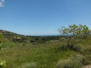 Son Macià, finca plot of about 60.250m2..