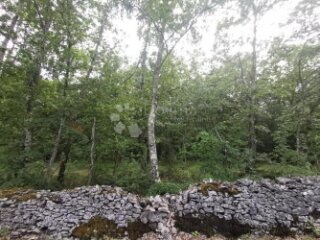 Poljoprivredno zemljište (šuma)