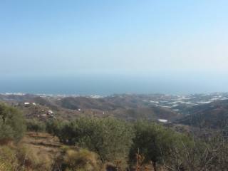 Rural land for Sale in Sayalonga..