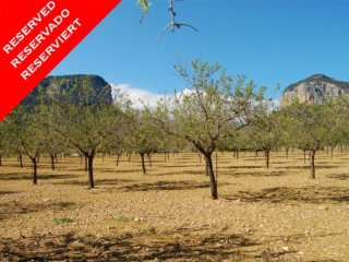 *reservado* Building Plot In Fabulous..