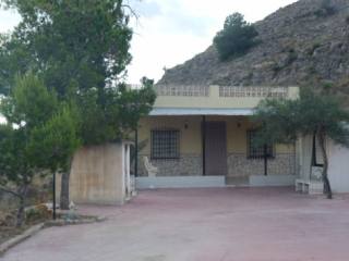 Country House - Finca in Aspe, Alicante