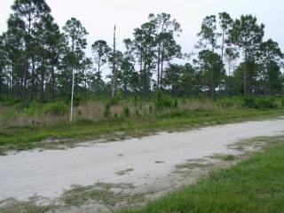 Land For Sale: Tbd Govan