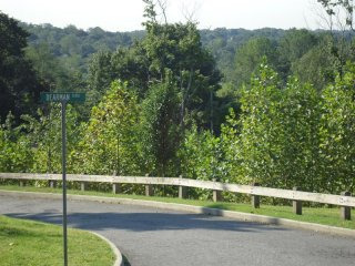 Land For Sale: 33 Dearman Close..