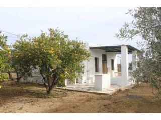 Villa in Aspe (Ref. PV2583)