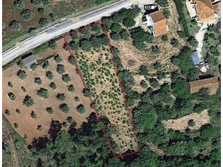 Land 1280m2 Ferreira Do Zezere