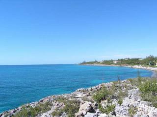 Singlefamilyvacant - Incredible..