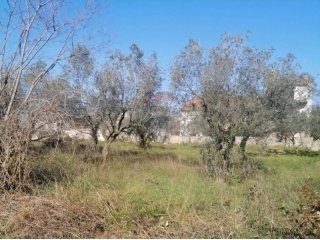 GALIŽANA, građevinsko zemljište, pogled