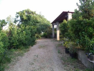 Small farm in Sardinia - Arzachena