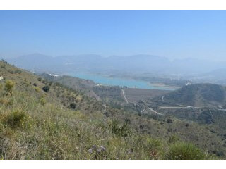 Rural land for Sale in Vinuela, Vinuela..