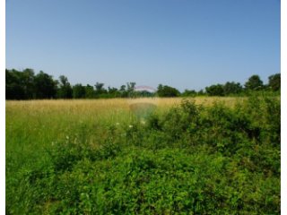 ISTRA, OKOLICA MUNTRILJA, GRAĐEVINSKO ZEMLJIŠTE 2005 M2