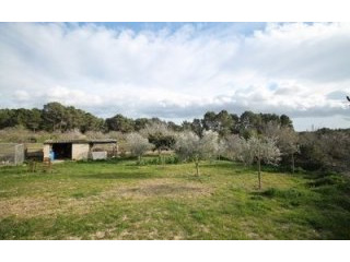 imperial properties santa ponsa - House..