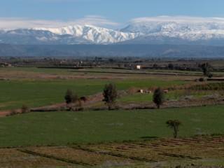 4Ha plot of Titled Land of 1ha plots -..