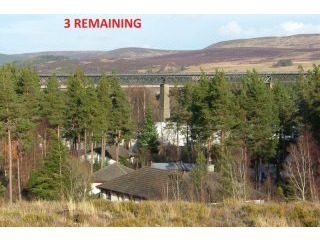 Hazelbank Plots, Tomatin
