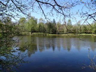 Dordogne : Lake Of ~1,28 Ha On ~2,02 Ha..