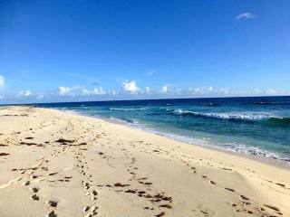 Singlefamilyvacant - This corner lot is..