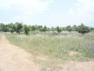 12 Rai plot of land in Pong, 3 min...