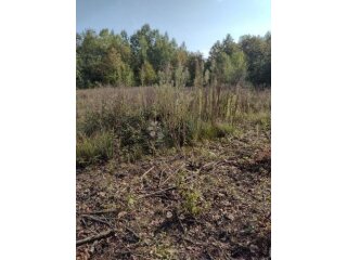 Još 4.5 Ha netaknute divljine
