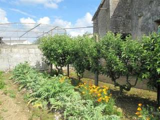 2 Bedrooms - House - Poitou-Charentes -..