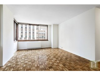 1 bedroom Apartment For Sale: 235 EAST..