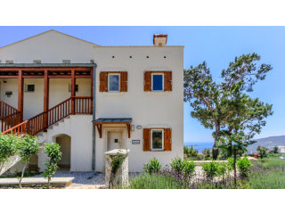 Kalkan, Lavanta