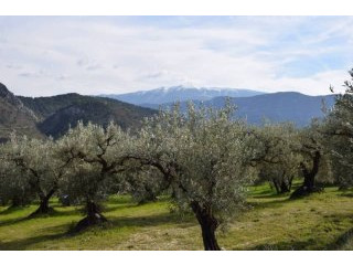 Building Plot Of 8417m2