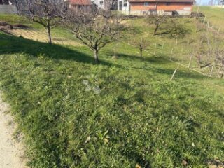 Mir, priroda i 1245 m² za vaš dom