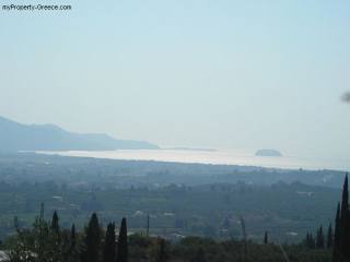 Lagopodo_12