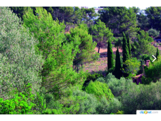 Plot Of Land With License In A Very..