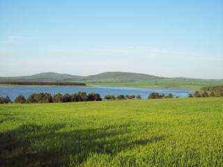 Lakeside Land