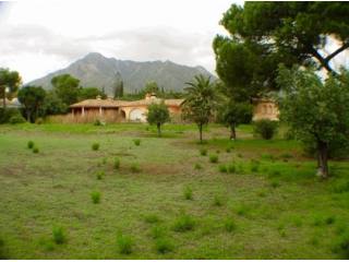 Building Plot for sale in Rocio de..