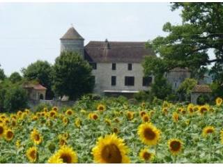 Castle With Private 9 Hole Golf Course..