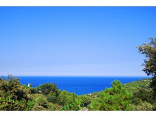 Plot with sea views near Sa Riera