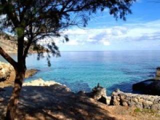 Land In Crete For Sale