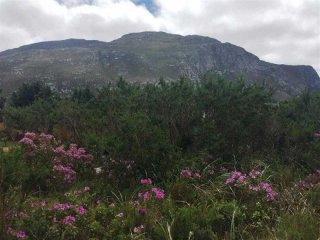Bettys Bay Vacant Land, Bettys Bay