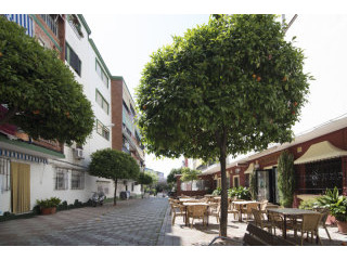 Apartment in La Divna Pastora