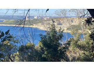ISTRA, SKITAČA - veliko negrađevinsko zemljište od 6 ha s 5