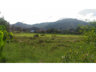 2 Rai Flat Development Land near Bang..