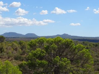 Plot 8,860 M2 En Mallorca , Es Puntiro