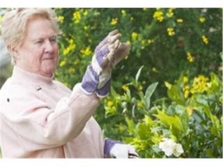 Stretton Gardens Retirement Estate -..