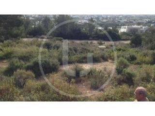 Opportunity: 3 plots of land with..
