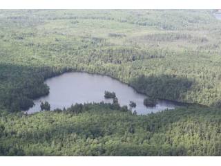 Land For Sale: Lot Porcupine Lake..