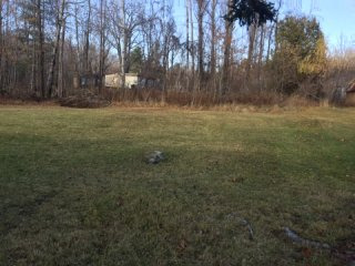 153 Raymond Wright Ave Mineville, NY..