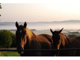 Stone Farm, Broadwas, Worcester..
